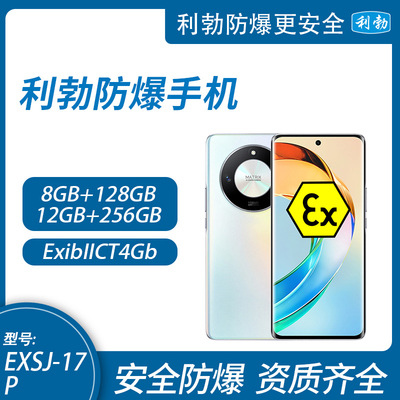 利勃防爆手机 &nbsp;化工厂石油天然气加油站制药厂专用 EXSJ-17P