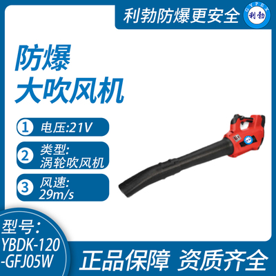 利勃防爆大吹风机哈尔滨防爆大吹风机YBDK-120-GFJ05W