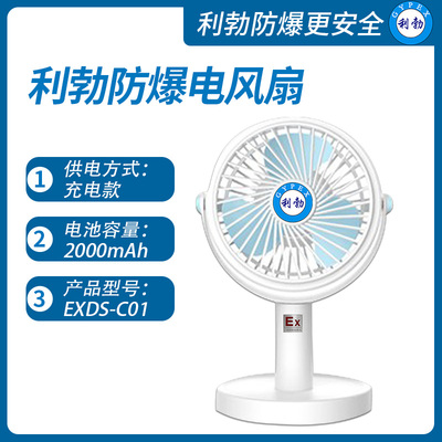 利勃防爆电风扇重庆防爆电风扇EXDS-C01