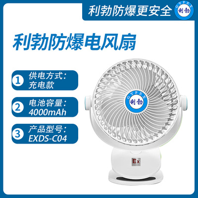 利勃防爆电风扇广东防爆电风扇EXDS-C04
