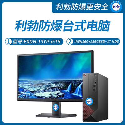 利勃工业级防爆台式电脑i5处理器16GB+256G SSD+1T HDD