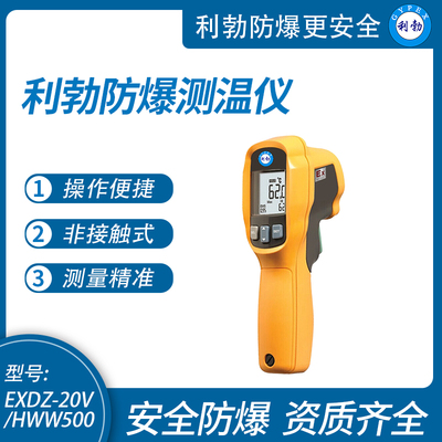 利勃防爆测温仪手持式高温工业用红外温度检测仪EXDZ-20V/HWW500