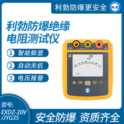 利勃防爆高压绝缘电阻测试仪数显电阻检测EXDZ-20V/JYG35