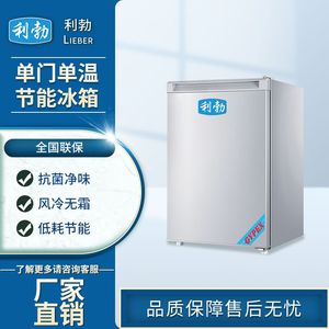 广州单温冷藏冰箱90升