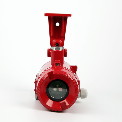 防爆双波段红外火焰探测器 YP6802A