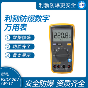 利勃防爆数字万用表自动高精度多功能防烧电工专用EXDZ-20V/WY17