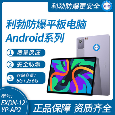 利勃工业级防爆平板电脑Android系列8+256GB