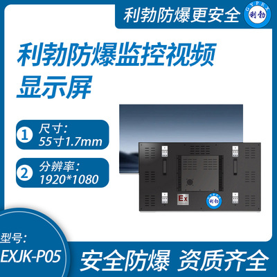 利勃防爆监控视频显示屏广西防爆监控视频显示屏EXJK-P05