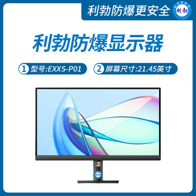 利勃防爆显示器陕西防爆显示屏EXXS-P01桌面式、壁挂式21.45英寸