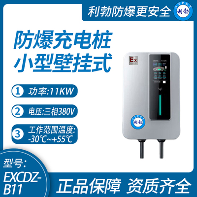 利勃防爆充电桩小型广西防爆充电桩11kw