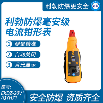 利勃防爆电流钳形表高精度毫安级过程电流表EXDZ-20V/QYH71