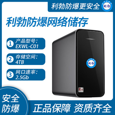 利勃防爆网络存储服务器重庆防爆网络储存EXWL-C01