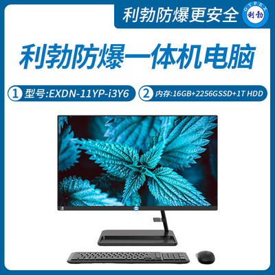 利勃工业级防爆一体机电脑i3处理器系列16GB+256GB SSD+1T HDD