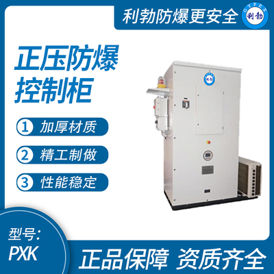 利勃防爆正压 防爆控制柜 可定制，广东