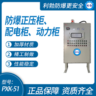 利勃防爆正压柜，配电柜，动力柜等，支持定制，广东厂家