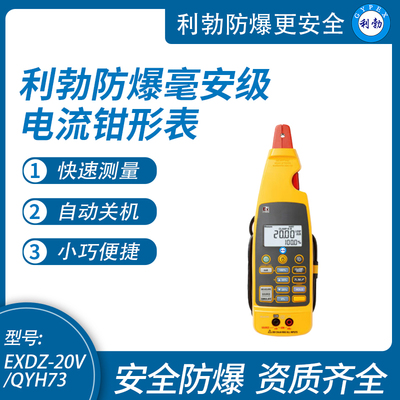 利勃防爆电流钳形表工业高精度毫安级过程电流表EXDZ-20V/QYH73