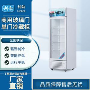 北京商店冰箱370升