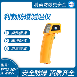 利勃防爆测温仪手持非接触式高温红外线测温枪EXDZ-20V/HWW275