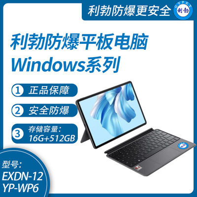 利勃工业级防爆平板电脑Windows系列16G+512GB 4G