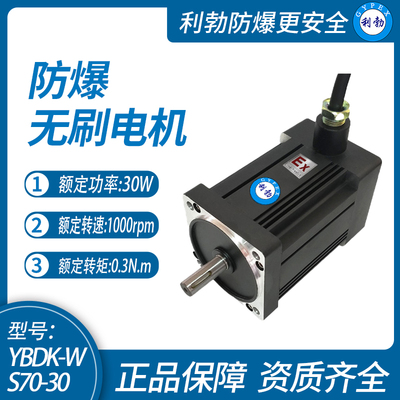 广东利勃70经济型无刷电机，防爆厂家直销，支持定制