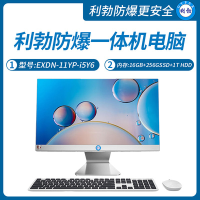 利勃工业级防爆一体机电脑i5处理器系列16+256GB SSD+1TB HDD